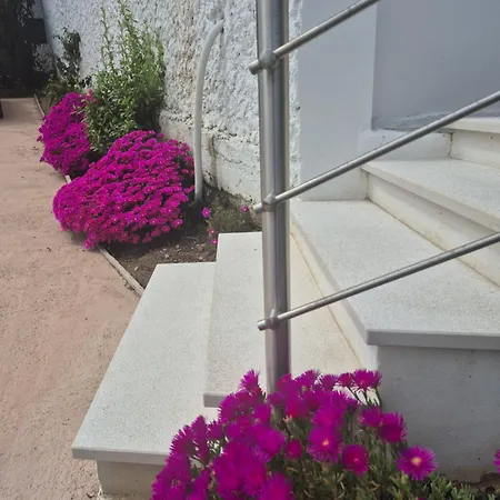 La Terrazza Sull'alba Hébergement de vacances