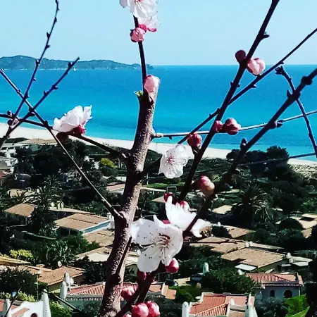 La Terrazza Sull'alba
